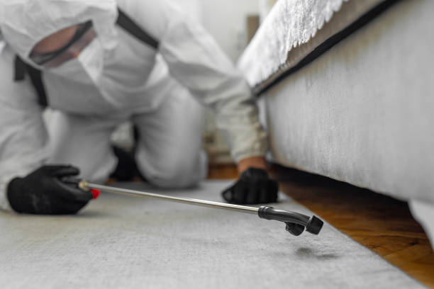 Professional Pest Control technician working in East Renton Highlands, WA